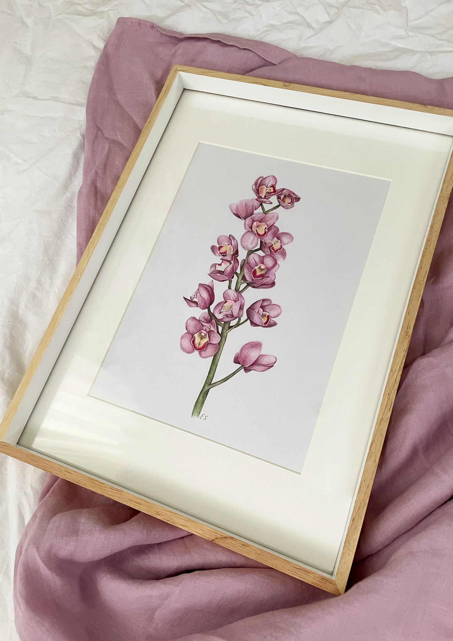 Orchid